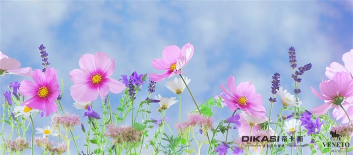 植樹(shù)節(jié)|春風(fēng)十里，不如一片綠意